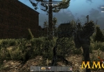 7-days-to-die-pine-tree