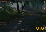 age-of-wushu-forest
