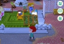 animal-crossing-pocket-camp-camp