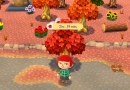 animal-crossing-pocket-camp-tree