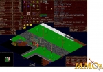 aranock-online-trees-outside