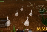 ArcheAge-geese