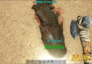 Ark-Survival-Evolved-coel