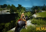 black-desert-online-level