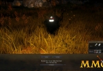 black-desert-online-price