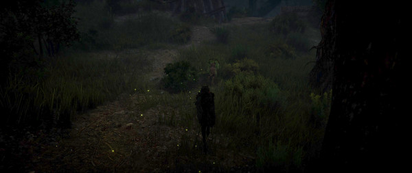 black desert online ghillie at night