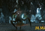 cabal2-calamity-of-war_5