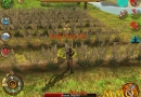 Celtic-Heroes-grain