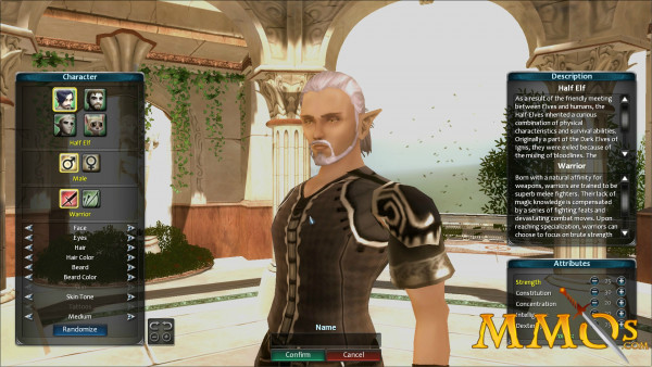 champions-of-regnum-character-half-elf