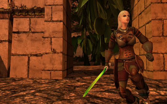 darkfall new dawn human female