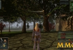 darkfall-rise-of-agon-elf