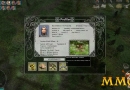 dawn-of-fantasy-kingdom-wars-player-profile