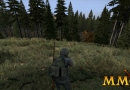 DayZ-aiming