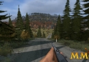 DayZ-gun