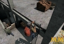 DayZ-ladder