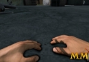 DayZ-prone