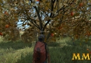 DayZ-search-for-apples