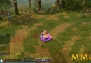 Dekaron-Looting-Items.jpg