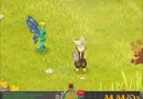 Dofus-friendly-player.jpg