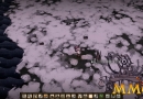 dont-starve-rigged-portal