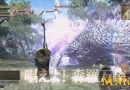 Dragons-Dogma-In-Game