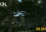 dual-universe-forest