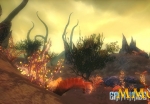 earthrise-strange-plants