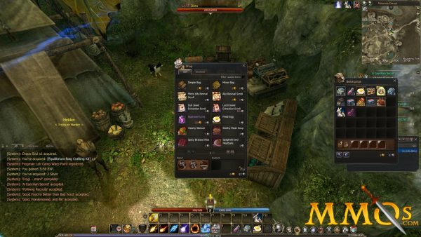 Echo-of-Soul-NPC-Shop.jpg
