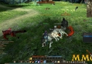 Echo-of-Soul-fighting-Wolf.jpg