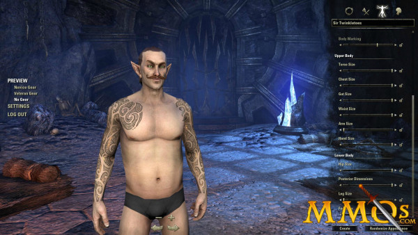 The Elder Scrolls Online interview and the future of MMOs