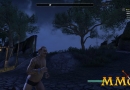 Elder-Scrolls-Online-stamina