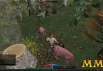 eldevin-hunting-pigs