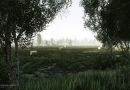 eft_shoreline_wip5