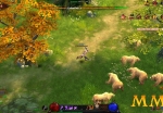 eternal-chaos-bears