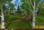 eternal-lands-bear