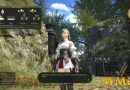 FFXIV-Basic-Controls.jpg