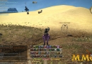 Final-Fantasy-14-Mount-chocobo-2.jpg