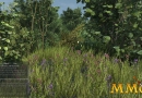 Fishing-Planet-grass