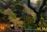 grim-dawn-through-the-woods
