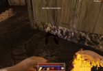 grimoire-manastorm-killed