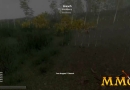 H1Z1-Branch.jpg