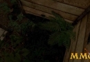 H1Z1-Shelter.jpg