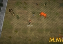 immune-cow