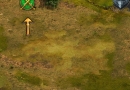 imperial-hero-battle-location
