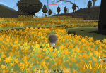 islet-online-sunflowers