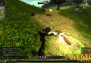 Knight-Online-Combat