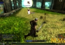 Knight-Online-Sword