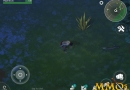 last-day-on-earth-survival-collect