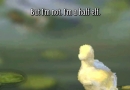 mabinogi-duel-story1