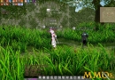 Mabinogi-9AM-Fighting.jpg